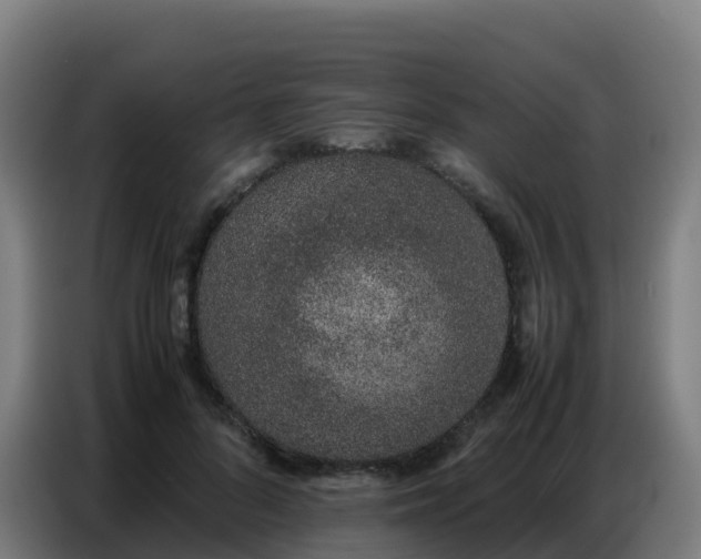 X0000086740696200704201706