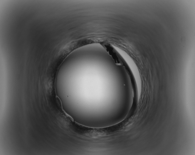 X0000086740697200704201706