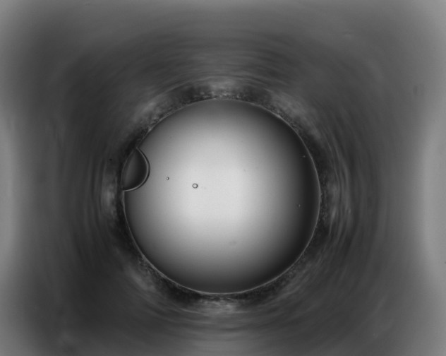 X0000086740698200704201706