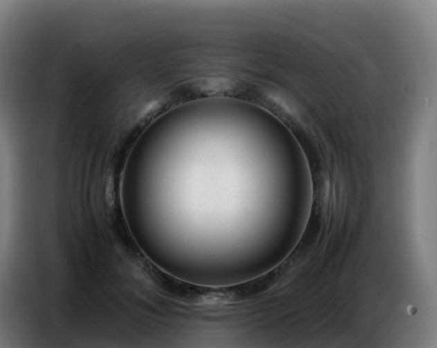 X0000086740700200704201706