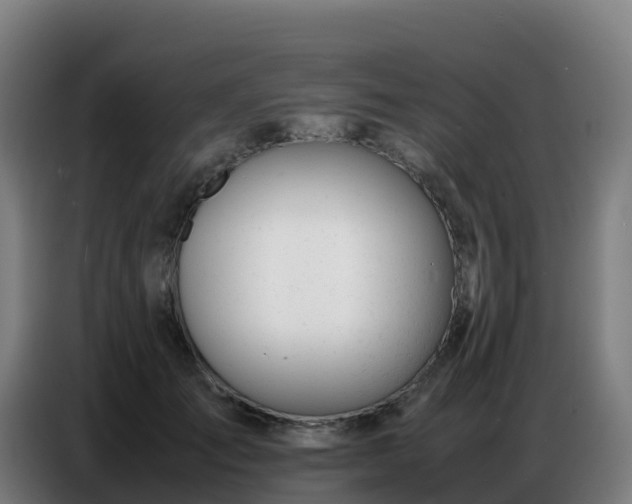 X0000086740701200704201706