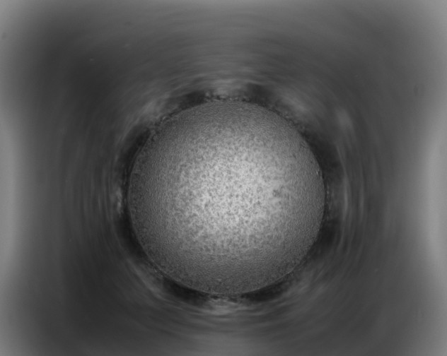 X0000086740703200704201706