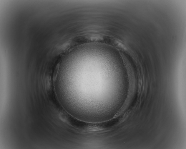 X0000086740704200704201706