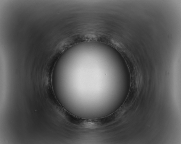 X0000086740706200704201706