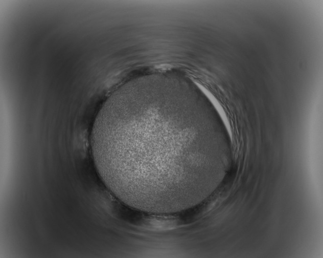 X0000086740707200704201706