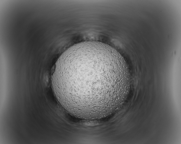 X0000086740709200704201706