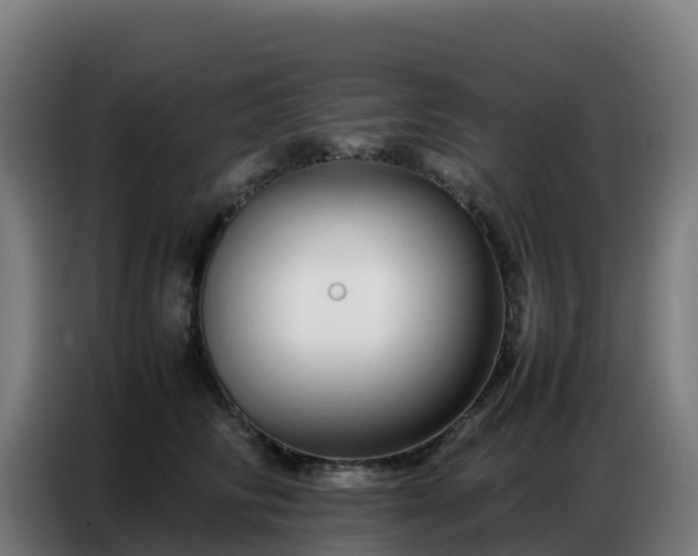 X0000086740710200704201706