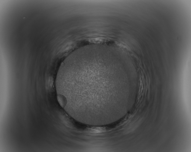 X0000086740711200704201706