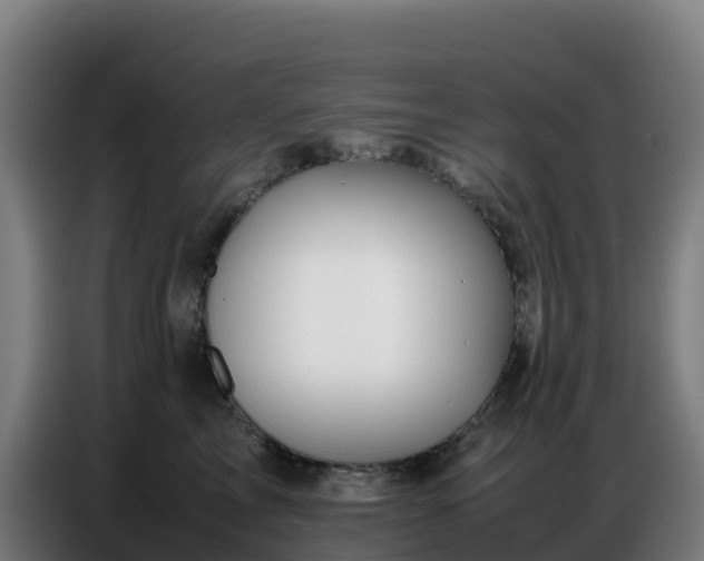 X0000086740713200704201706