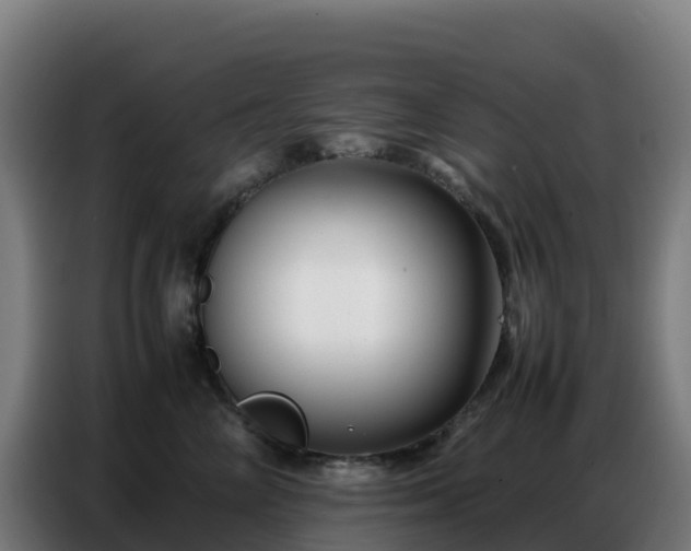 X0000086740714200704201706