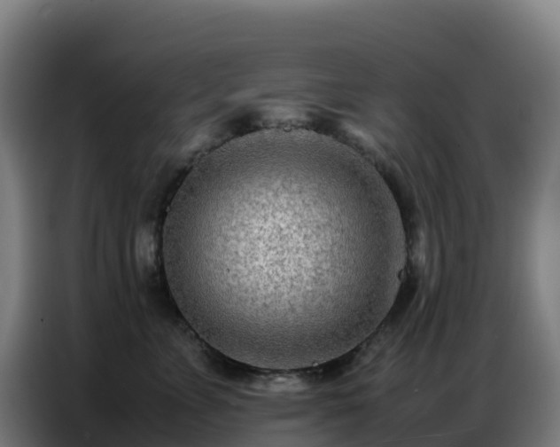 X0000086740715200704201706