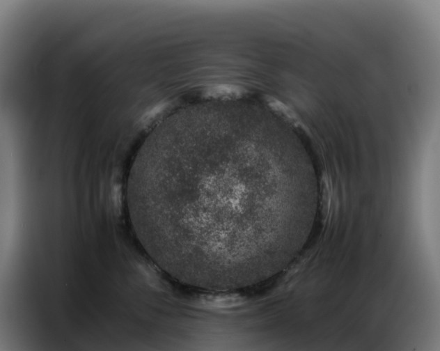 X0000086740716200704201706