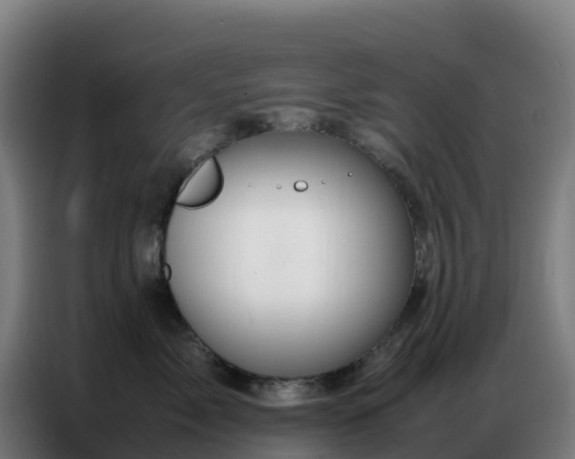 X0000086740717200704201706