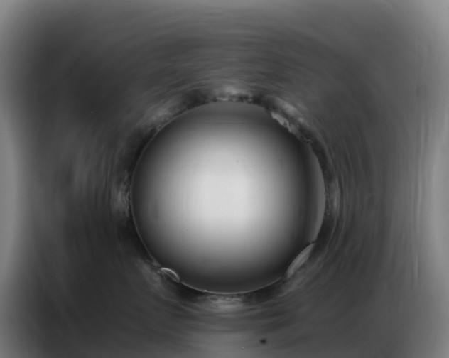 X0000086740719200704201706