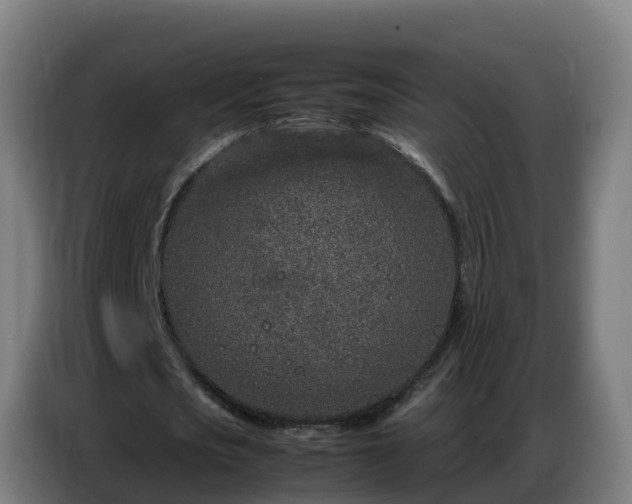 X0000086740721200704201705