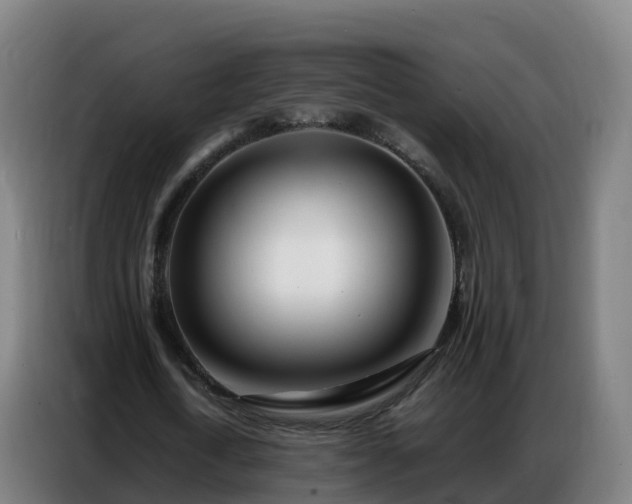 X0000086740722200704201705