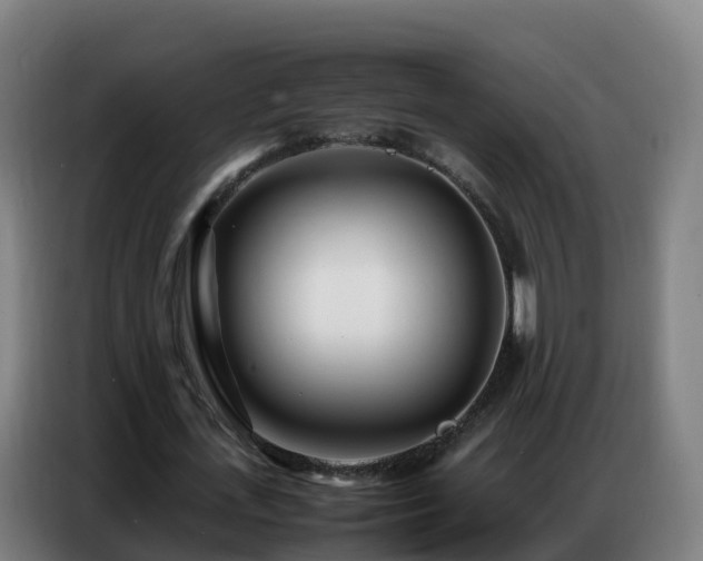 X0000086740723200704201705