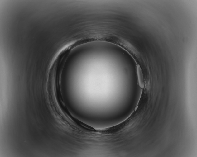 X0000086740724200704201705