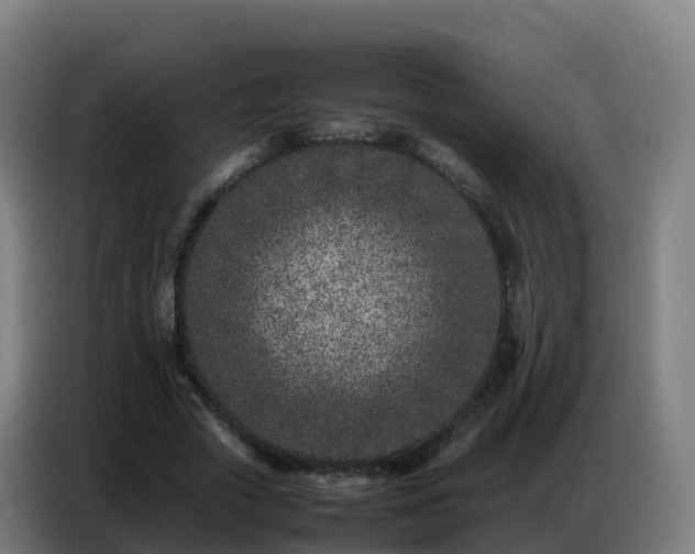 X0000086740729200704201705