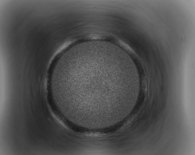 X0000086740730200704201705