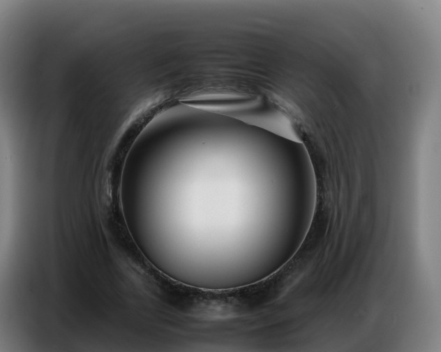 X0000086740731200704201705