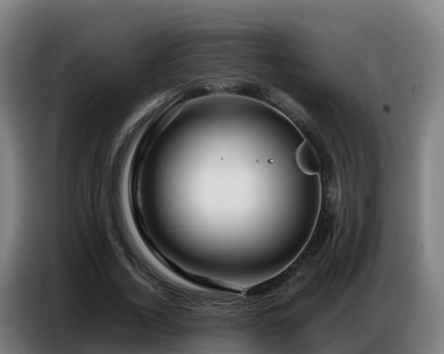 X0000086740732200704201705