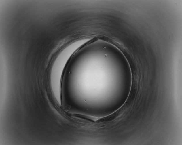 X0000086740734200704201705