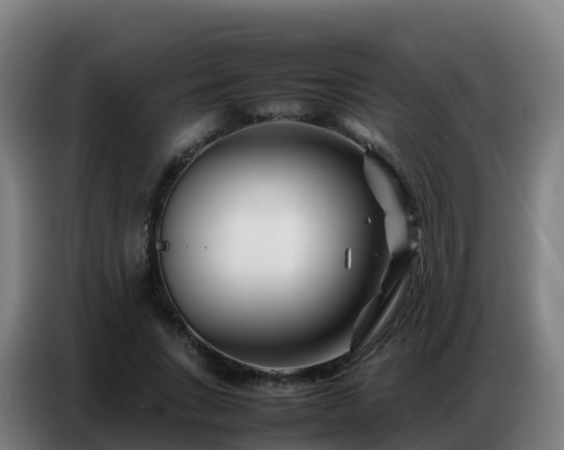 X0000086740735200704201705