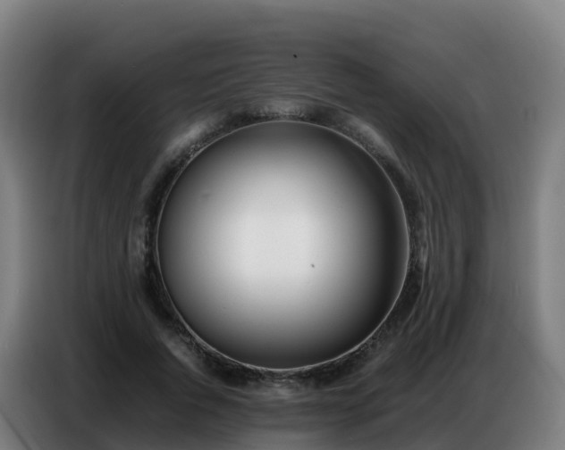 X0000086740736200704201705