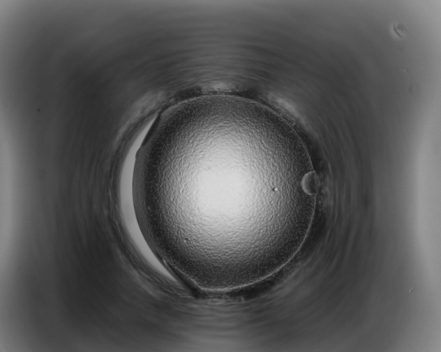 X0000086740738200704201705