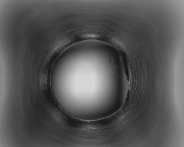 X0000086740739200704201705