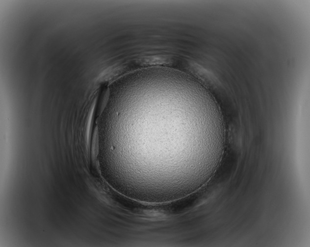 X0000086740741200704201705