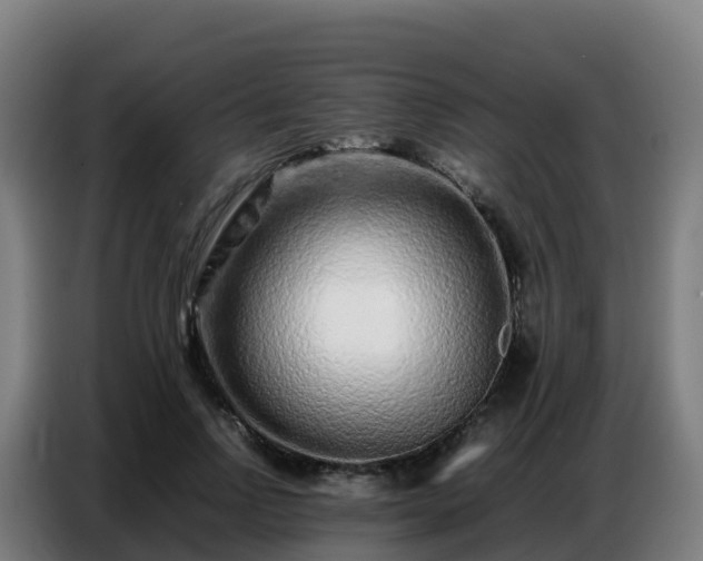 X0000086740742200704201705