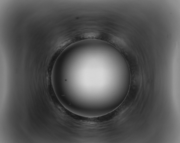 X0000086740743200704201705