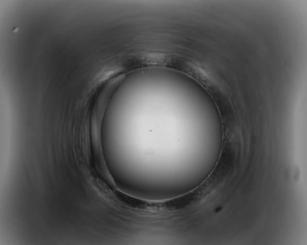 X0000086740744200704201705