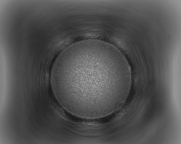 X0000086740745200704201705