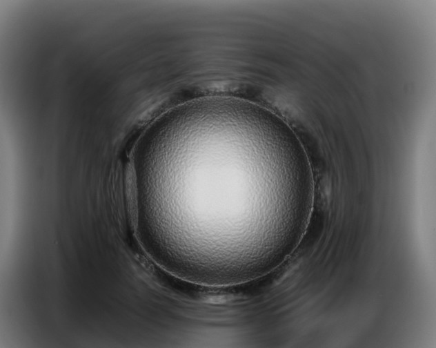 X0000086740746200704201705