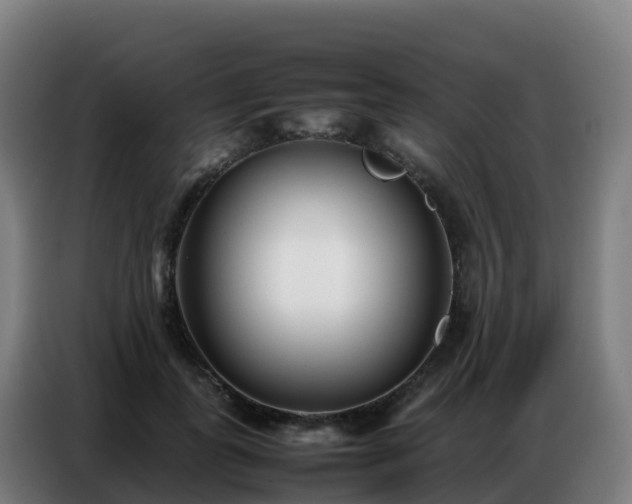 X0000086740747200704201705