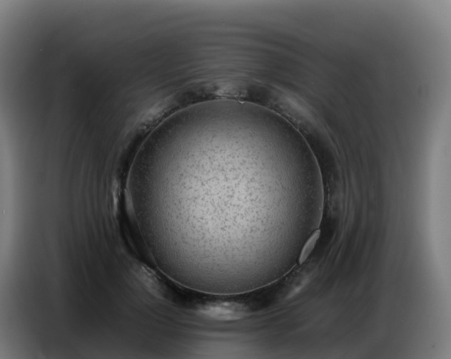 X0000086740748200704201705