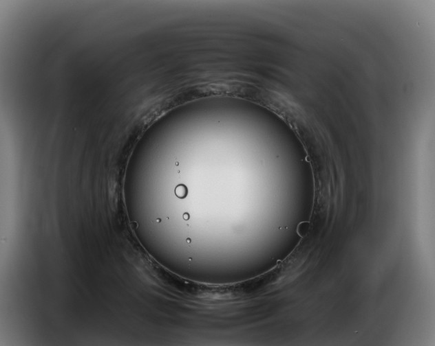 X0000086740749200704201705