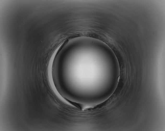 X0000086740750200704201705