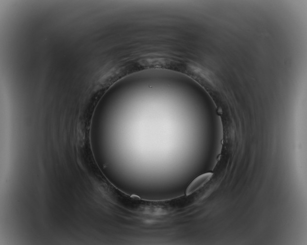 X0000086740751200704201705