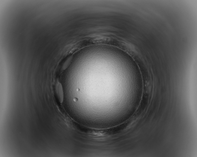 X0000086740753200704201705