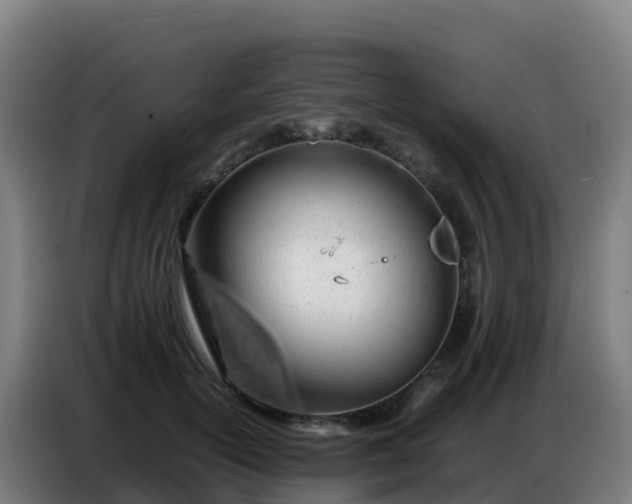 X0000086740754200704201705