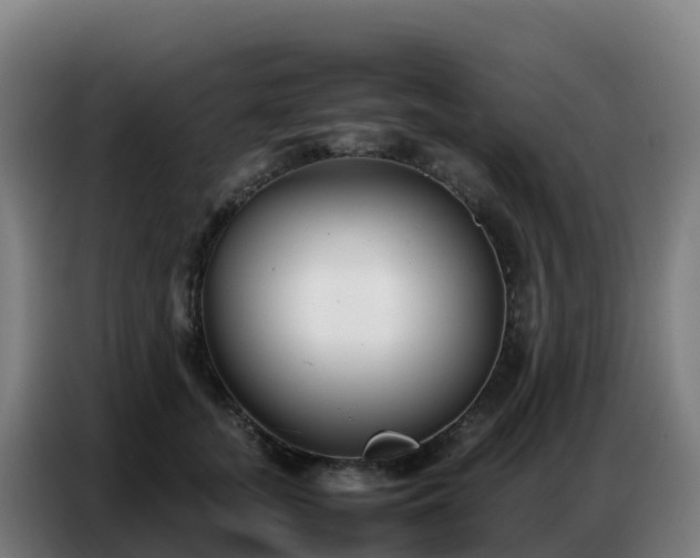 X0000086740755200704201705