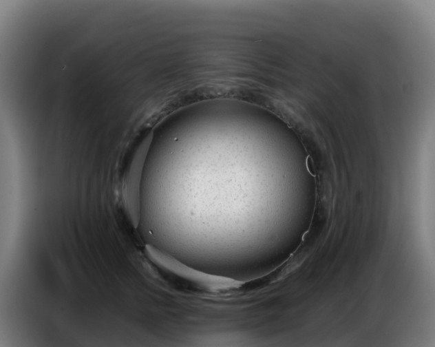 X0000086740758200704201705