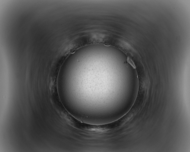 X0000086740759200704201705