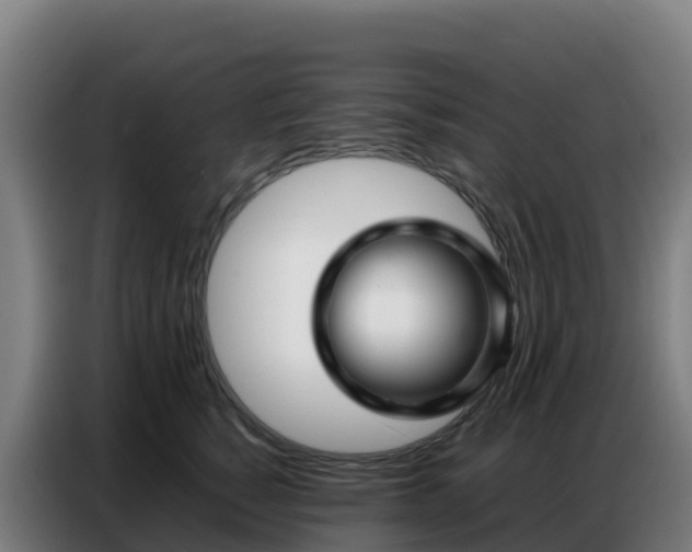 X0000086740760200704201705