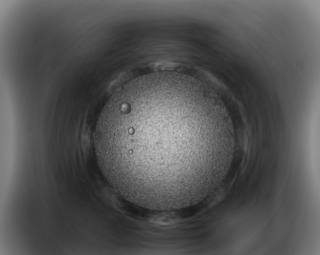 X0000086740761200704201705