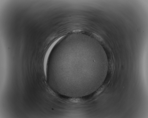 X0000086740762200704201705